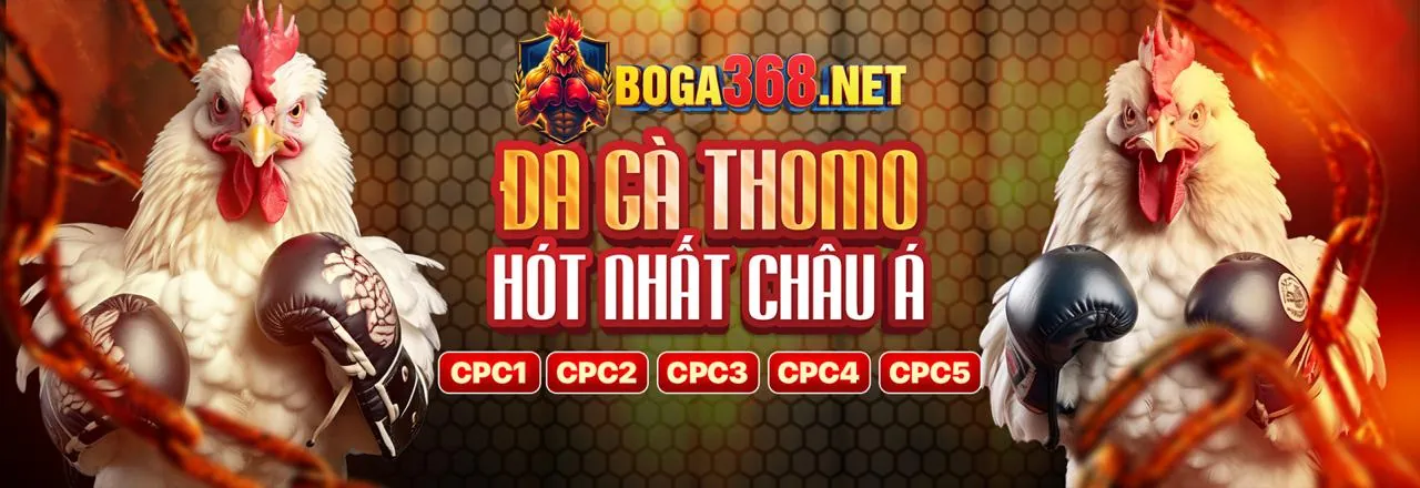 Hình ảnh giới thiệu b888bet - Nền tảng cá cược trực tuyến hàng đầu